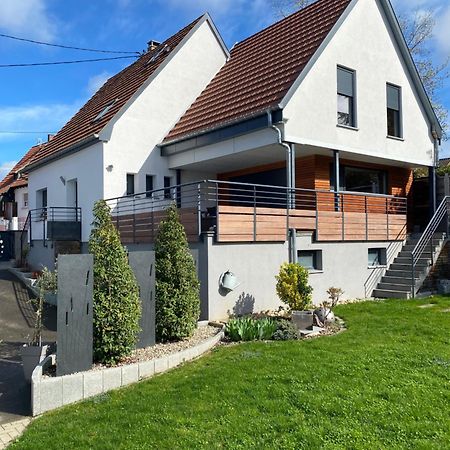 Chez L En Alsace Maison Independante 8 Pers Jardin & Cour Privative Griesheim-pres-Molsheim Екстер'єр фото
